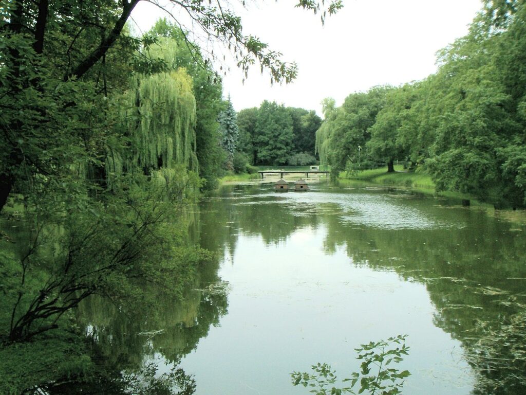 zielony park miejski