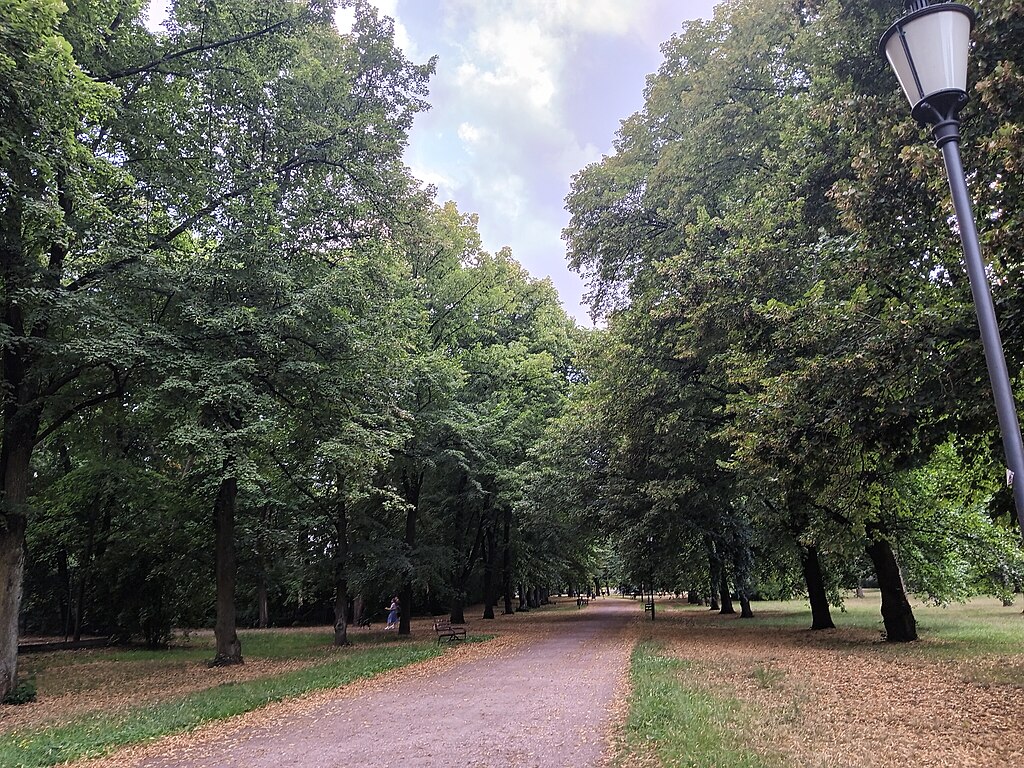 park w mieście