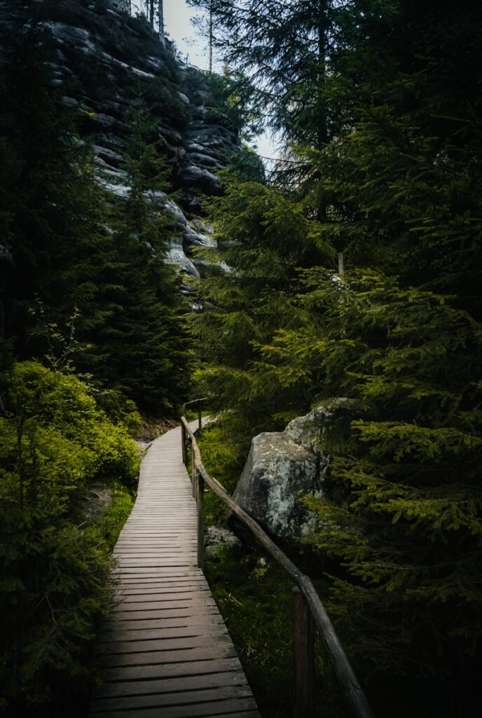 trzy skalne miasta w czechach