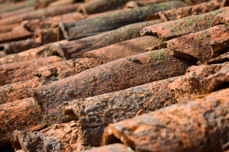 Jak naprawić dach, który przecieka? Poradnik dekarza krok po kroku