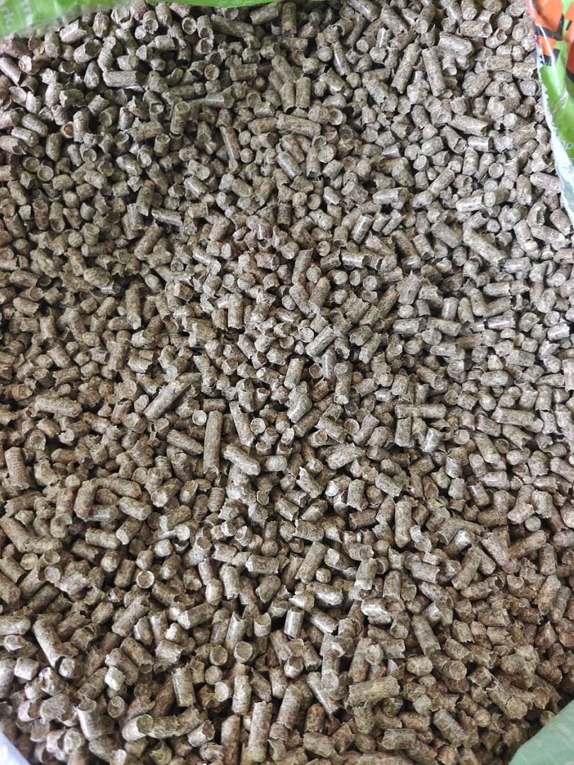 pellet.jpg
