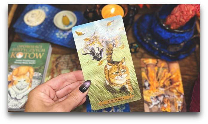 Dlaczego warto mieć własną talię tarota?
