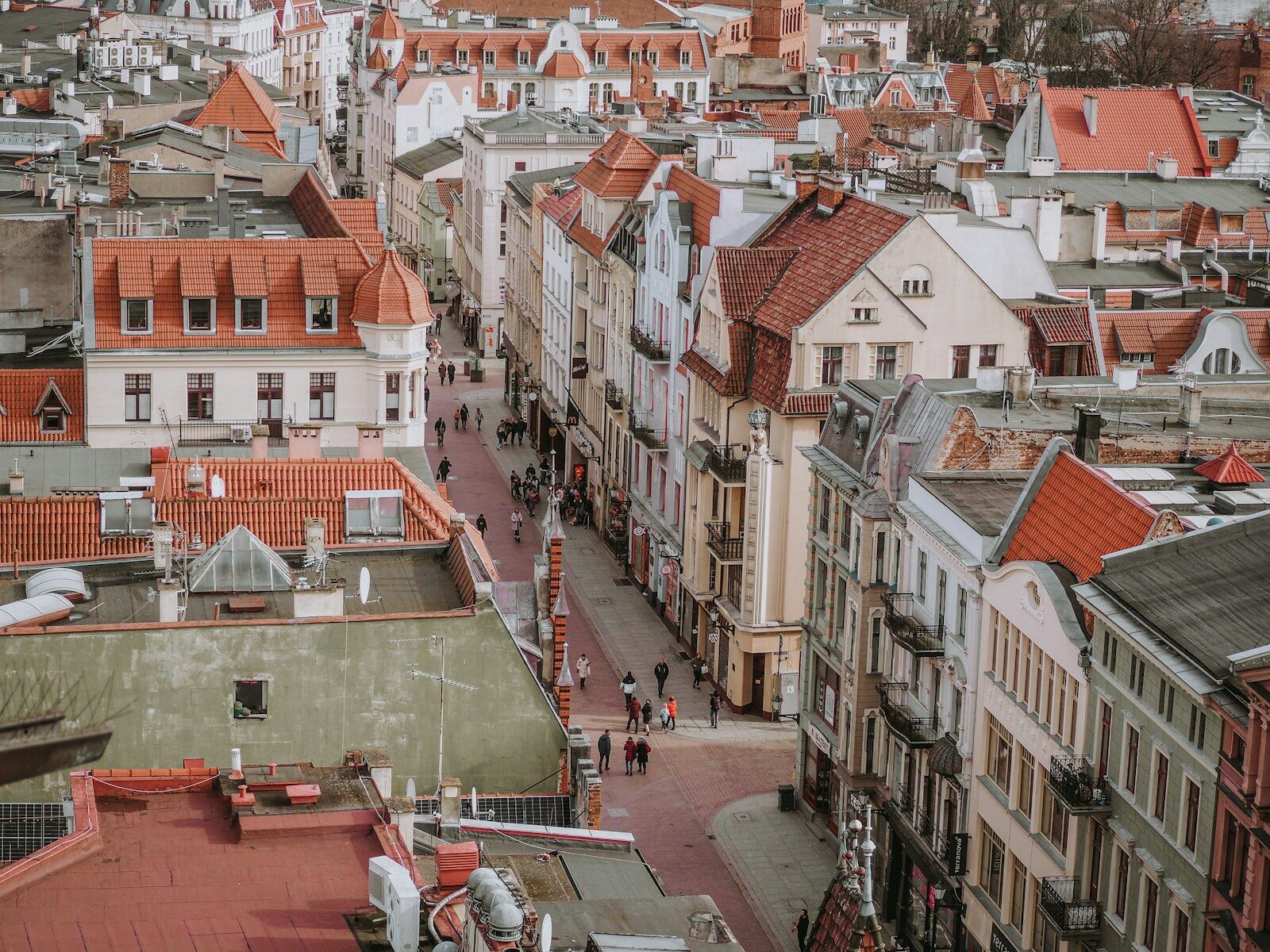 widok na Toruń